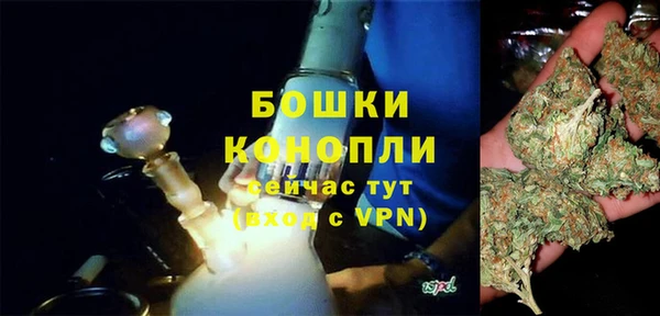 ECSTASY Майский
