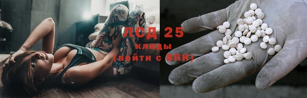 PSILOCYBIN Липки
