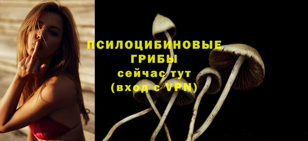винт Лиски