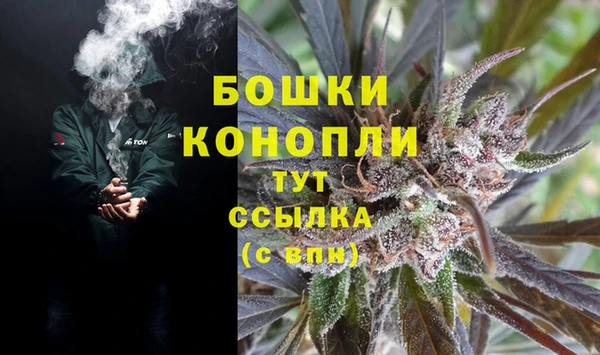 винт Лиски